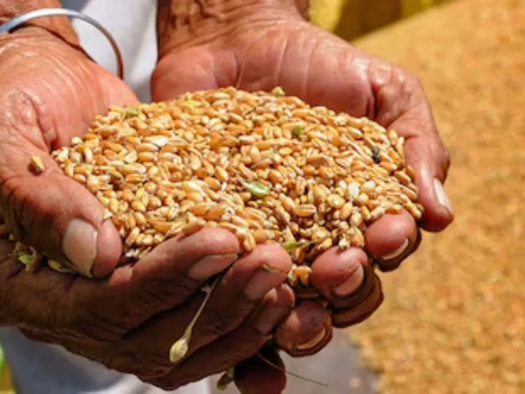 Asian Seed Congress 2025: बीज उद्योग के साथ मिलकर काम करेगी सरकार, बजट सत्र में लाएगी नया कानून